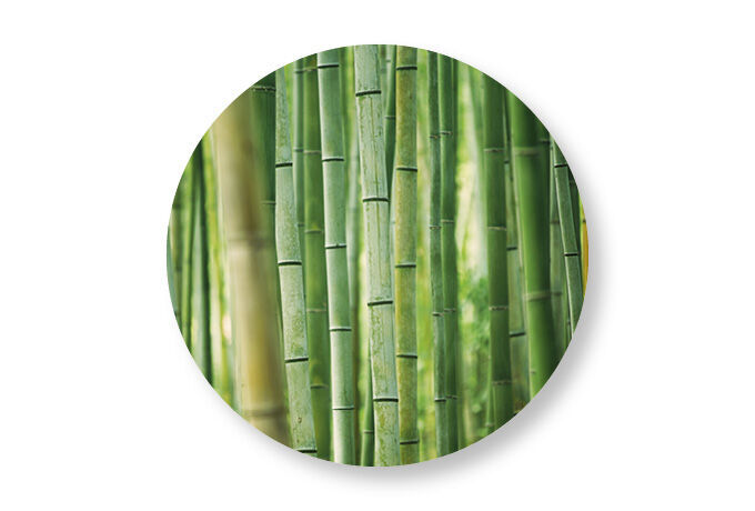 card-image